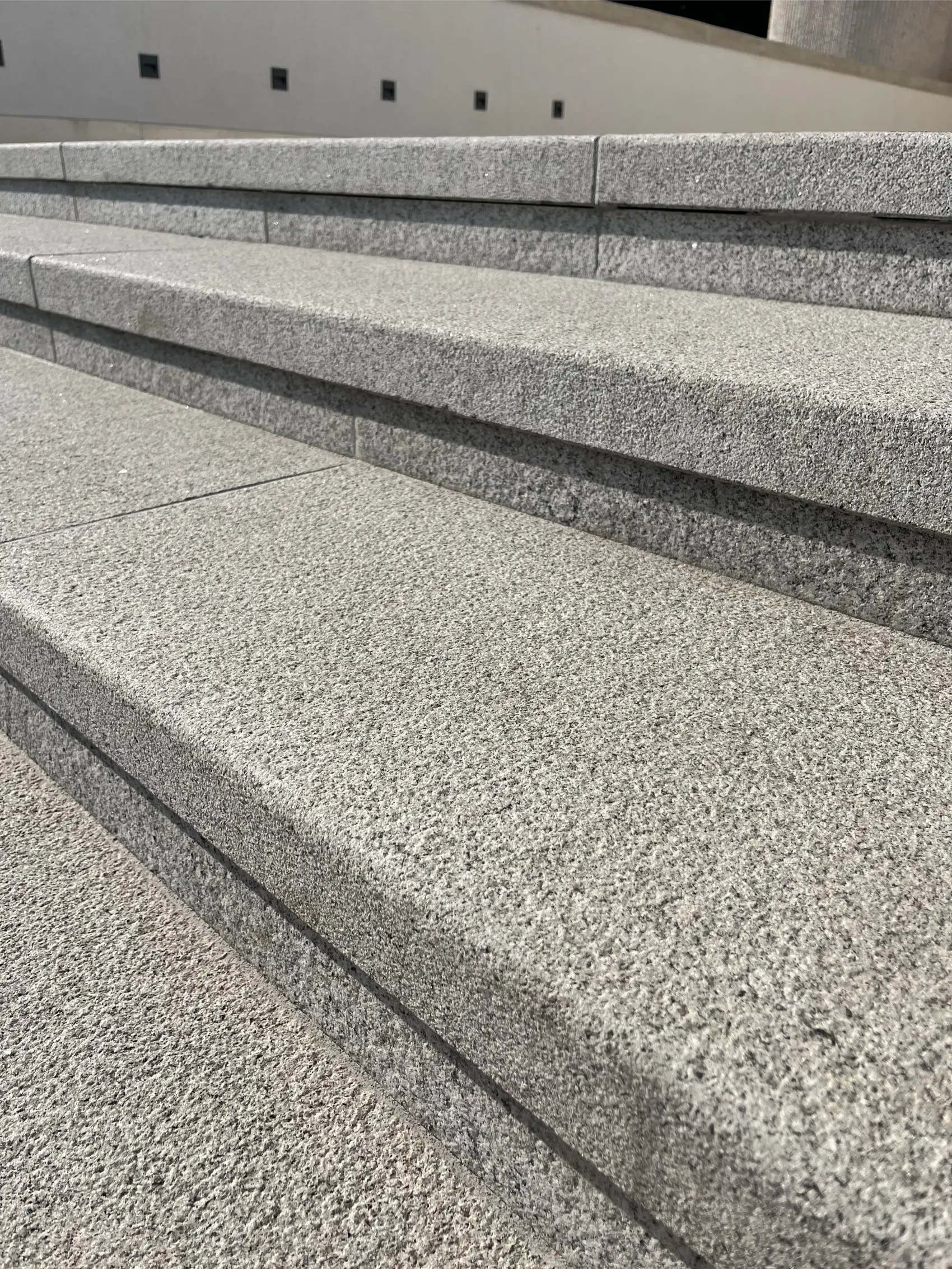 Žybartuva_Santuokų rūmai laiptai is arti 1