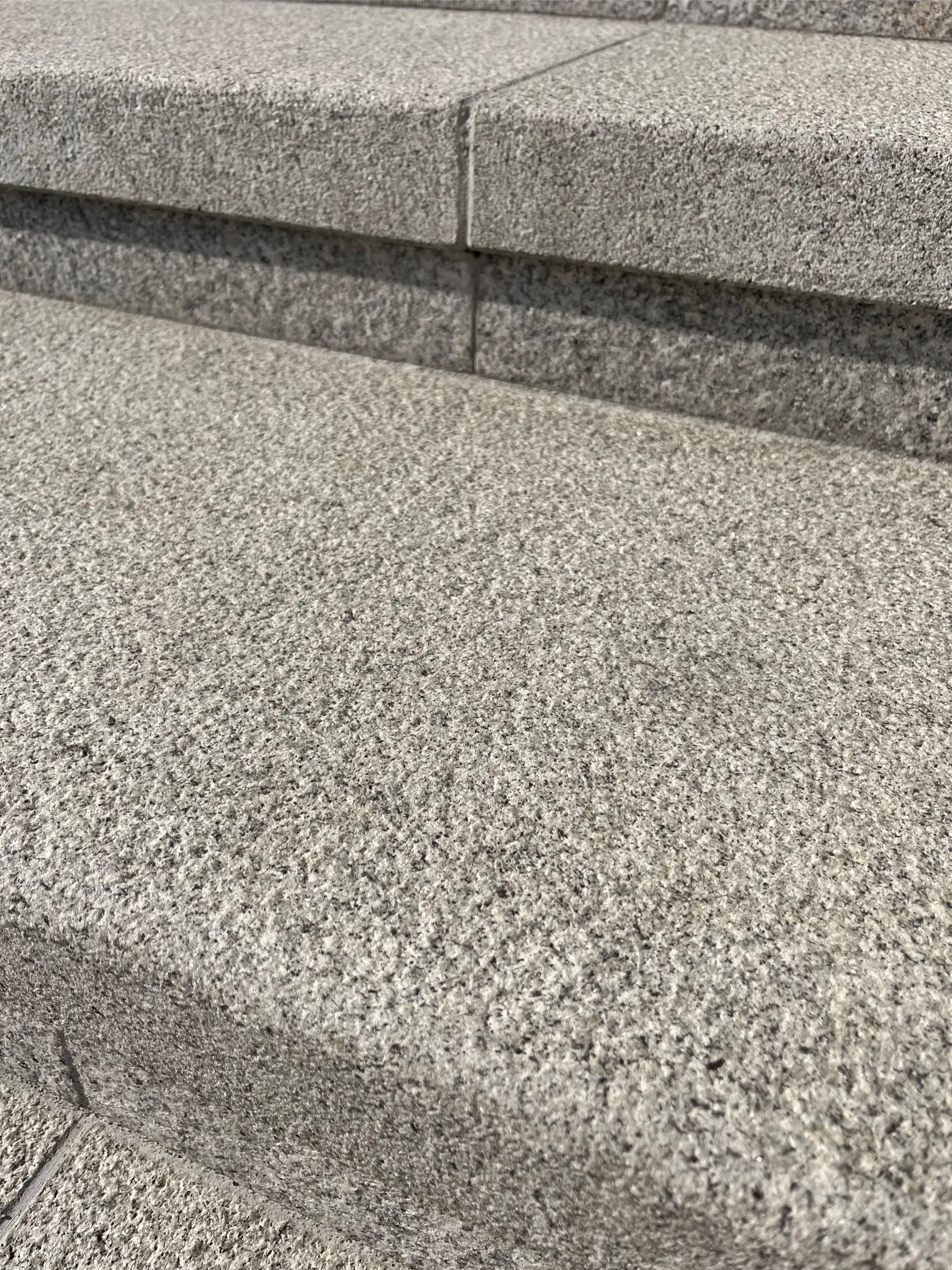 Žybartuva_Santuokų rūmai laiptai is arti